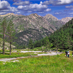 ���� �������. ������ ����������. ������ ����������