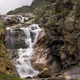 ���� �������. ����. �������