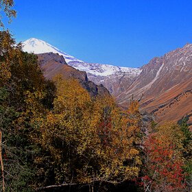 ���� �������. ������������. � ��������.