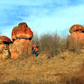 Каменные грибы Кисловодского парка.
