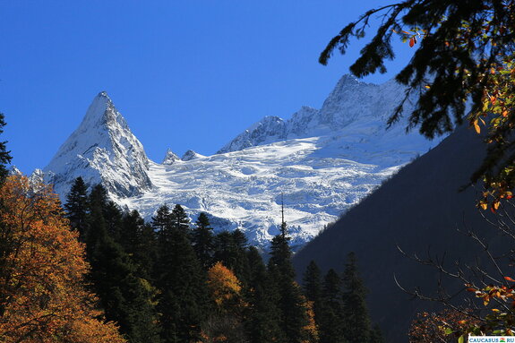 ���������� �����